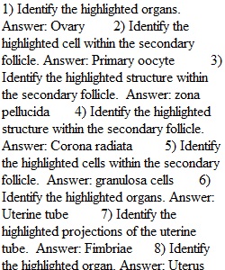 Reproductive Systems - Lab Assignment